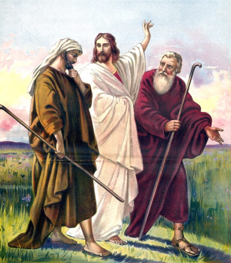 Read more about the article XXV NIEDZIELA ZWYKŁA 21.09.2025 r.